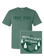 Adult Trust Jesus Tee & Sweatshirt